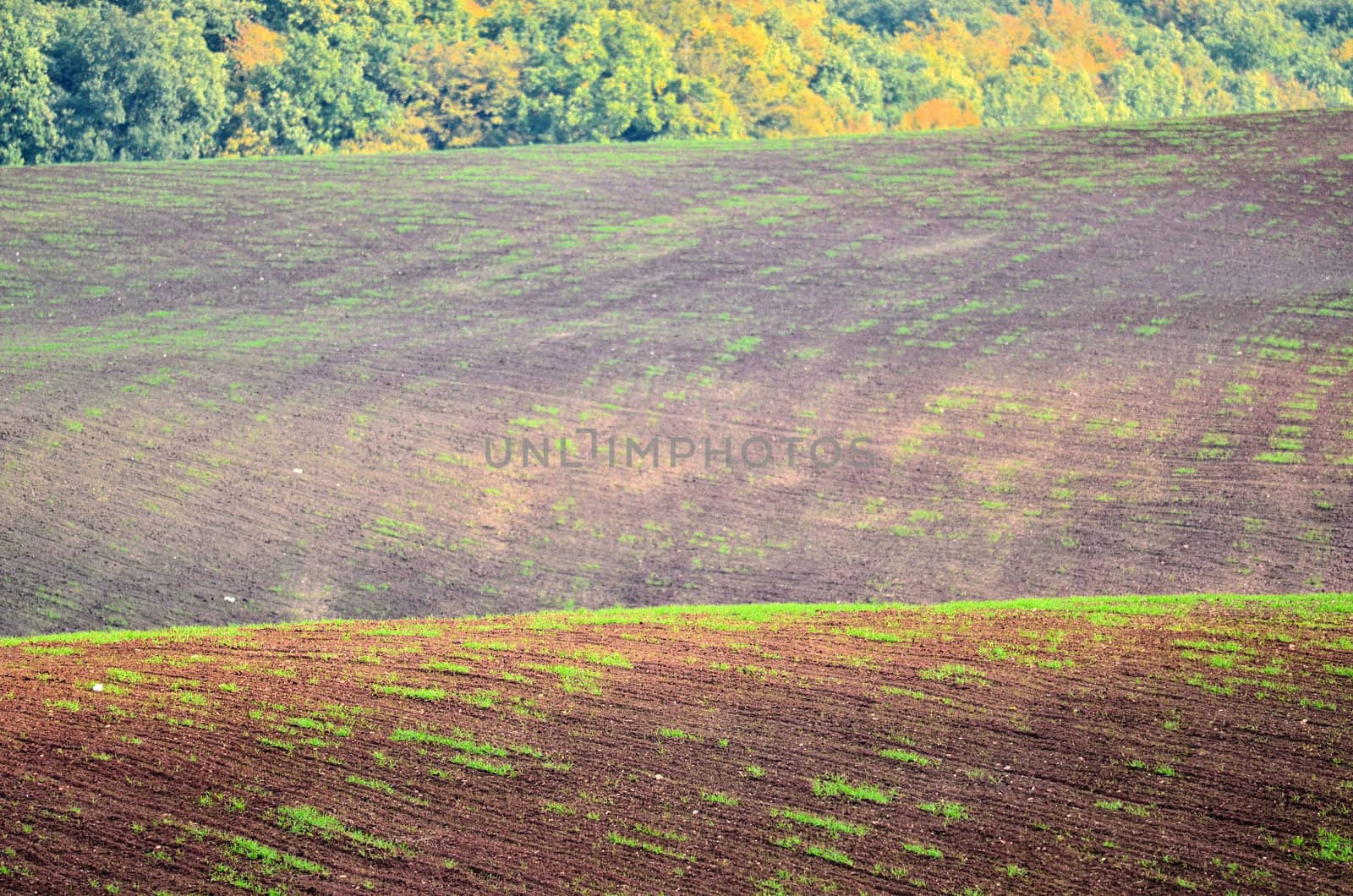 preparation of the fields in autumn
