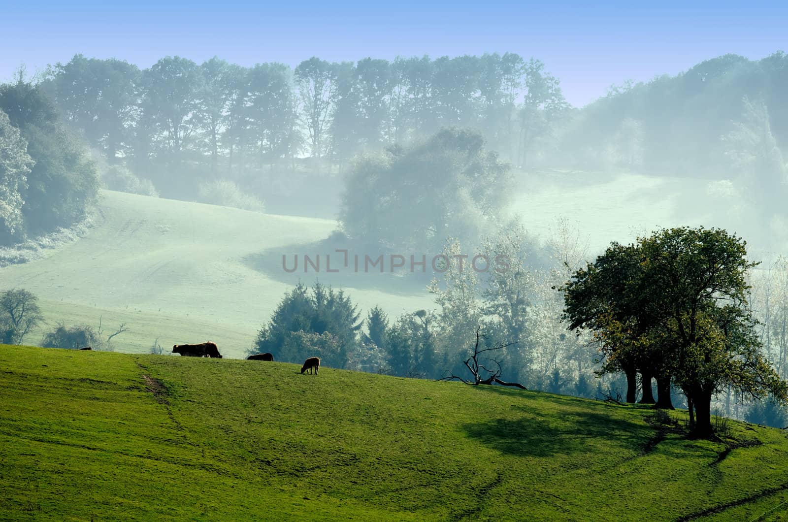 landscape of the green countryside by njaj
