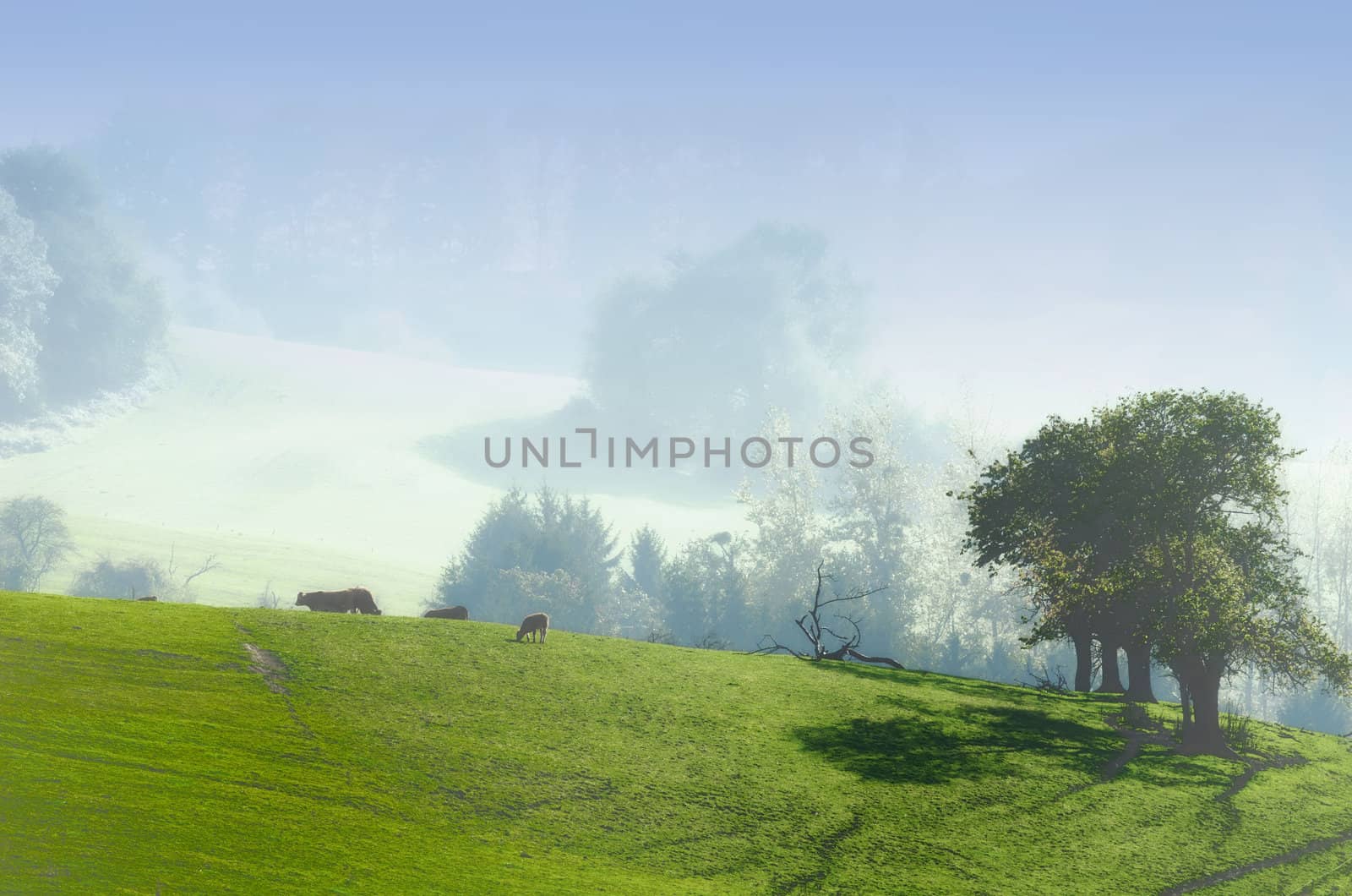 the green countryside by njaj