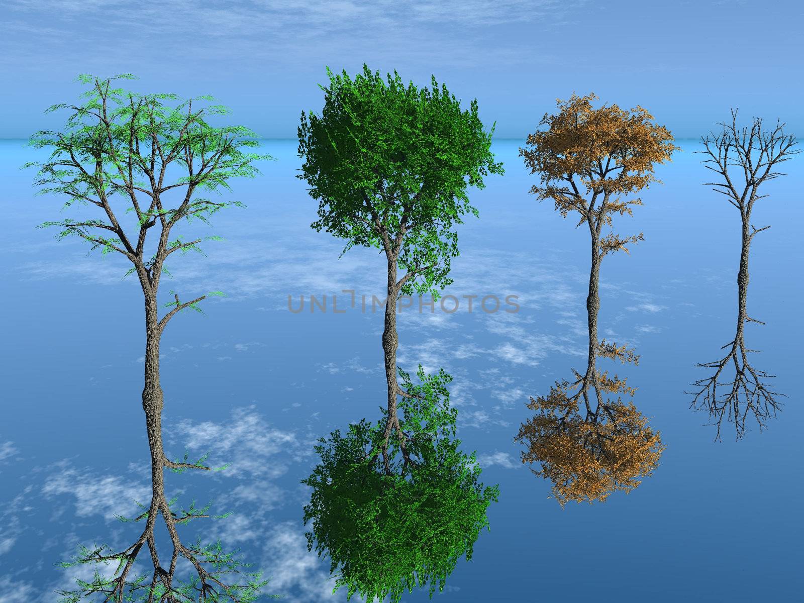 the four season trees by njaj