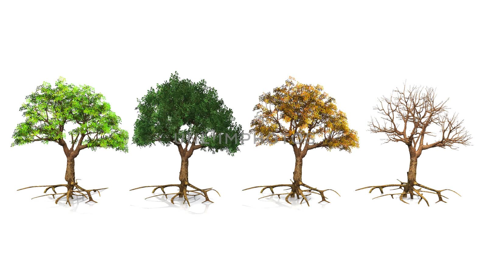 trees  depending on the season by njaj