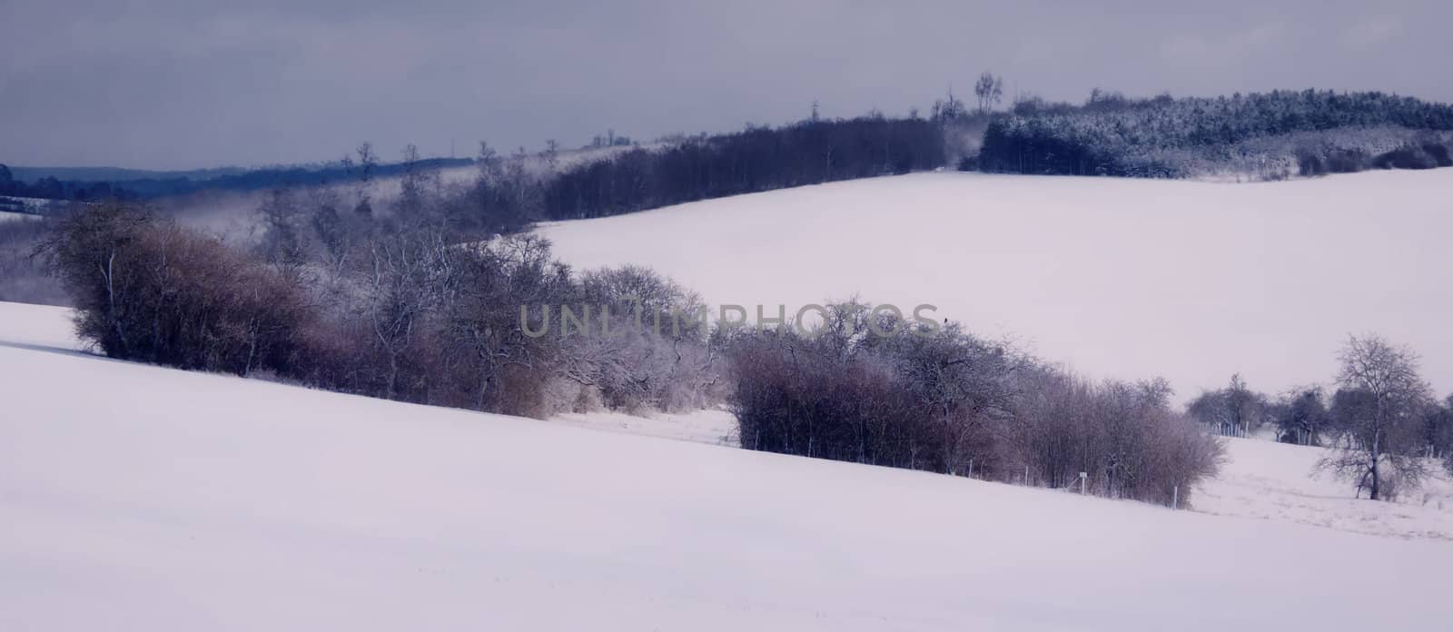 snowy landscape by njaj