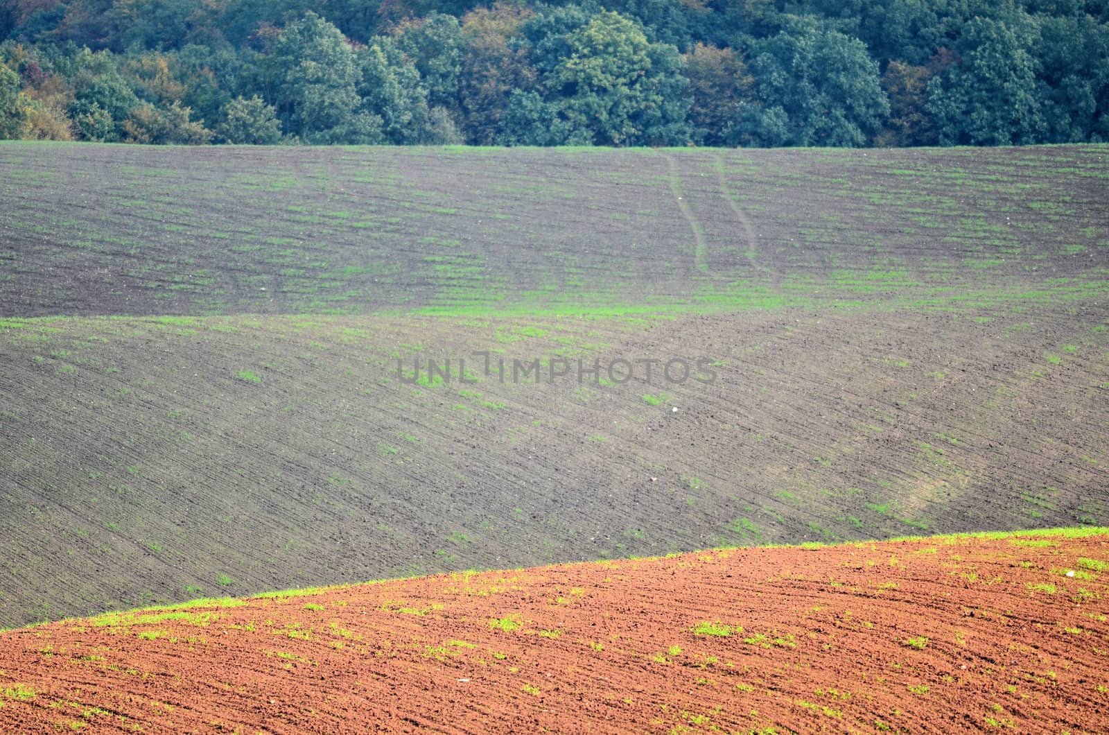 the fields and hills by njaj