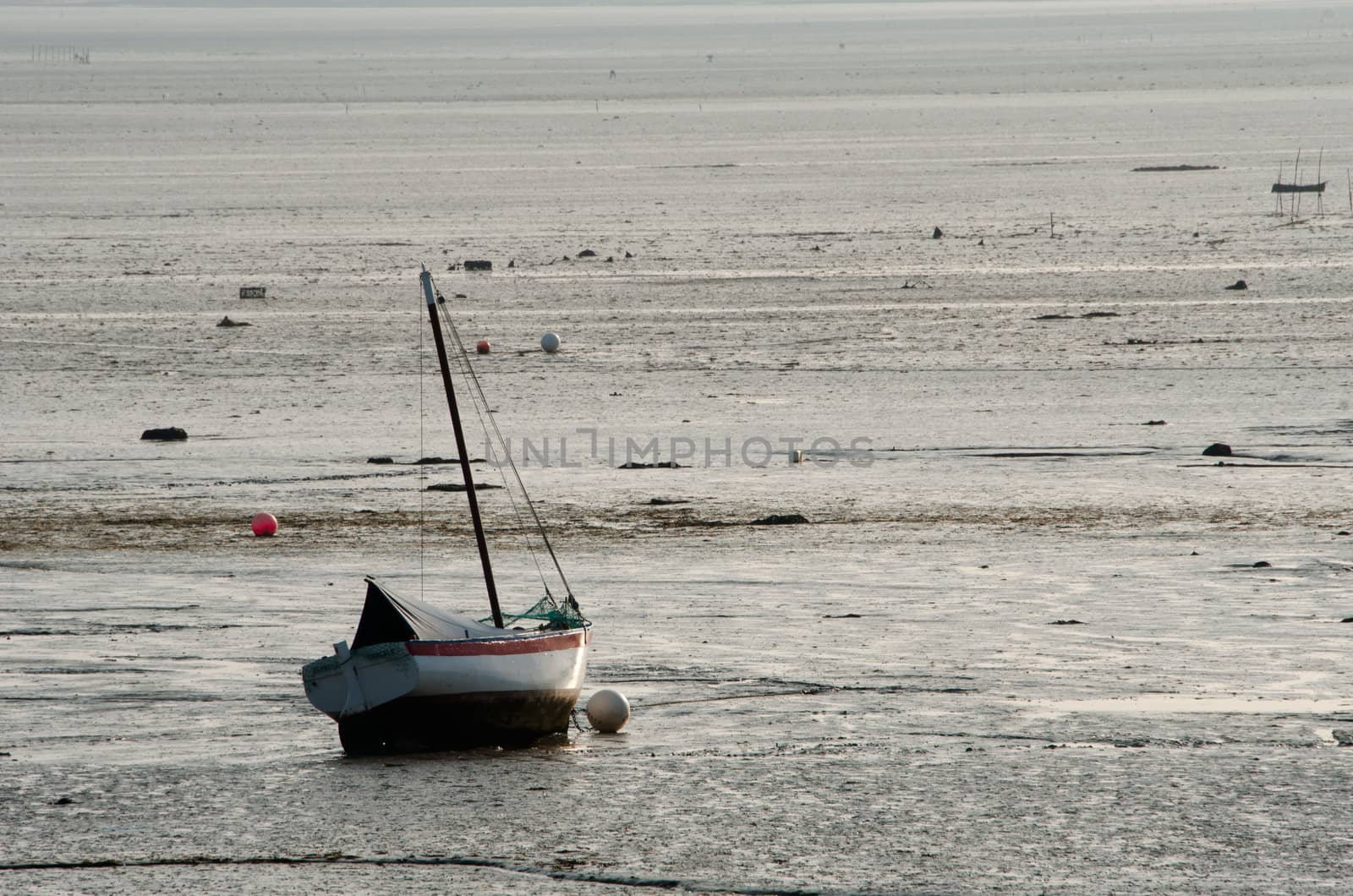 the boat at low tide