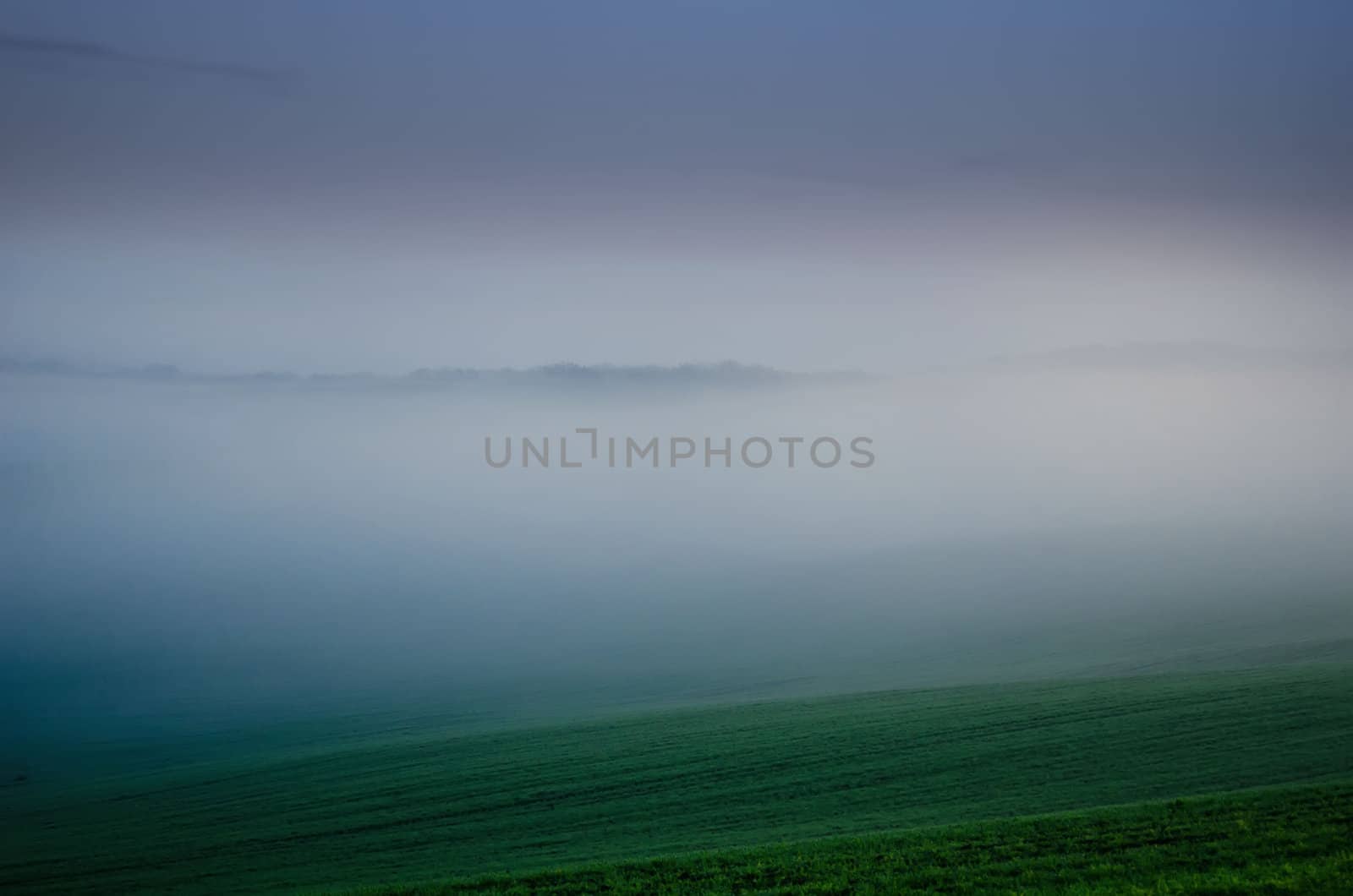 the hills in the fog by njaj