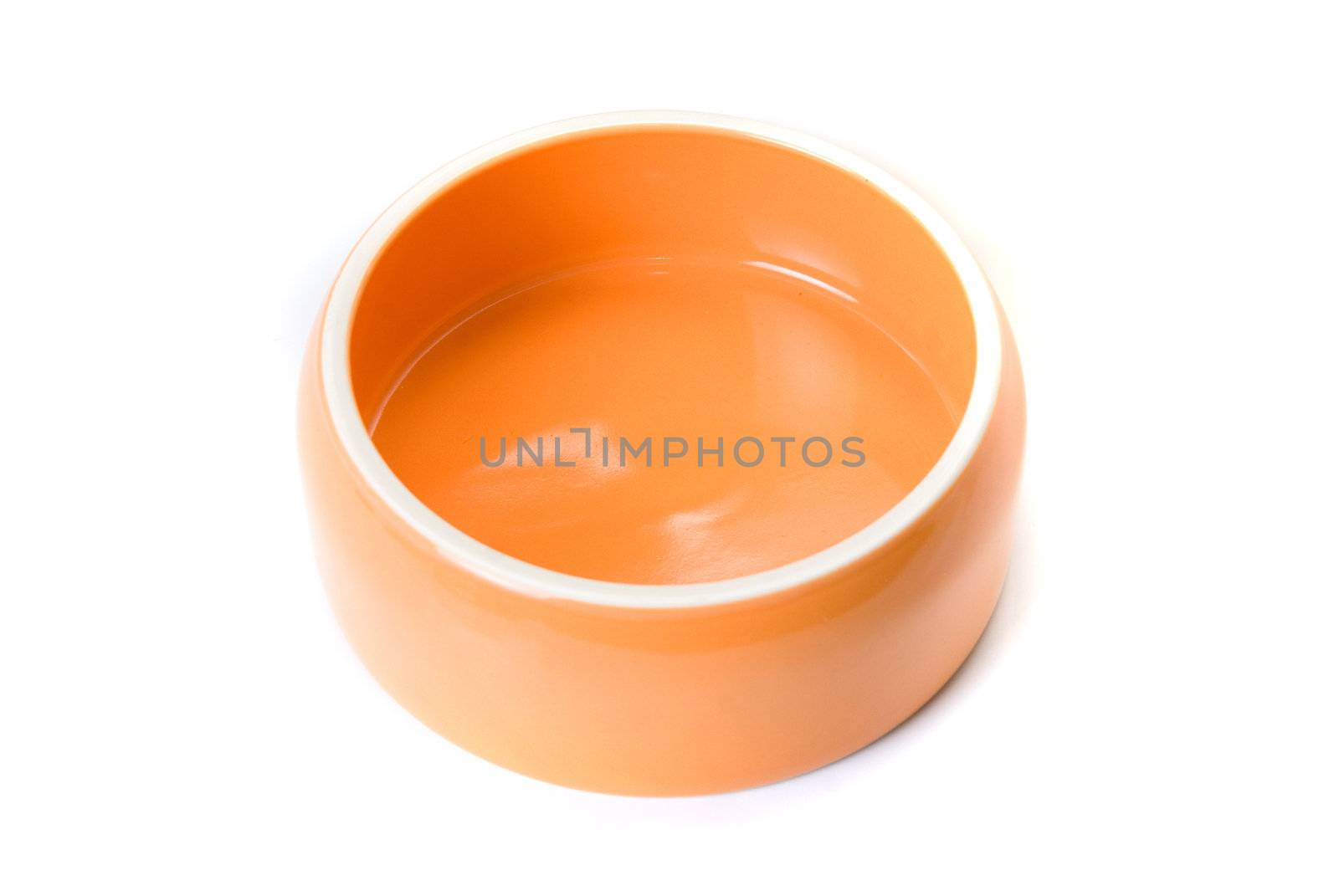 Bowl for pets isolated on a white background