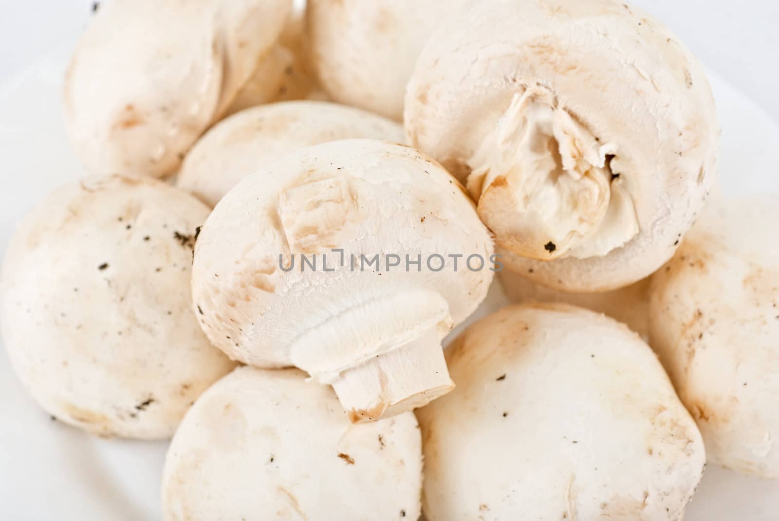 champignon mushrooms close up on a white plate