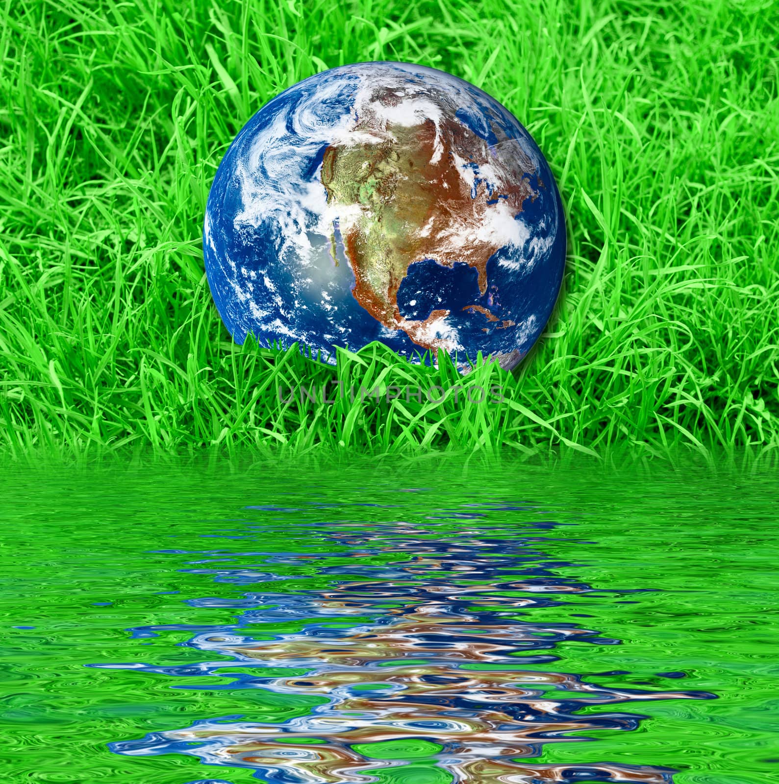 Earth at the succulent green grass background