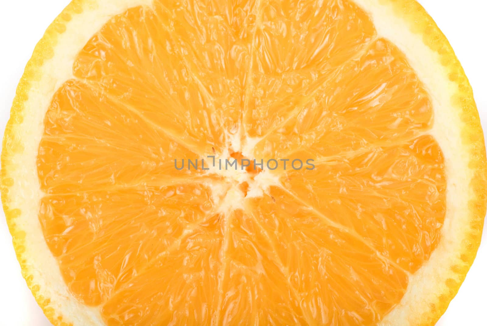Orange closeup isolated on a white background
