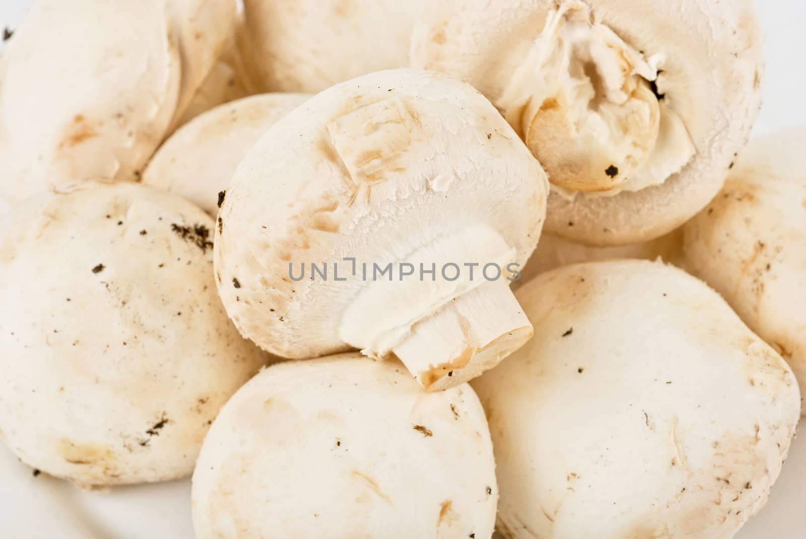 Mushrooms, champignons at plate isolated on a white background