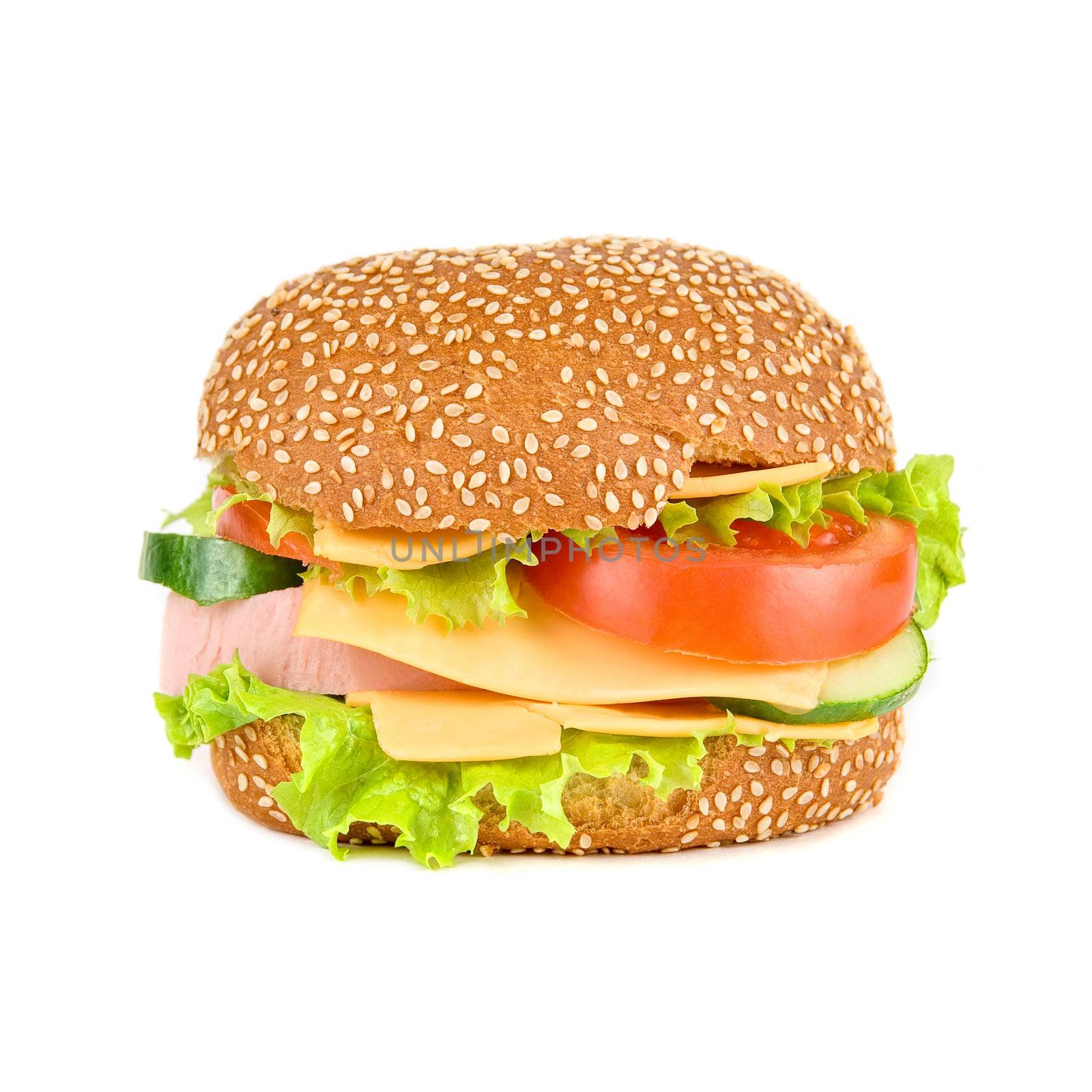 tasty hamburger isolated on a white background