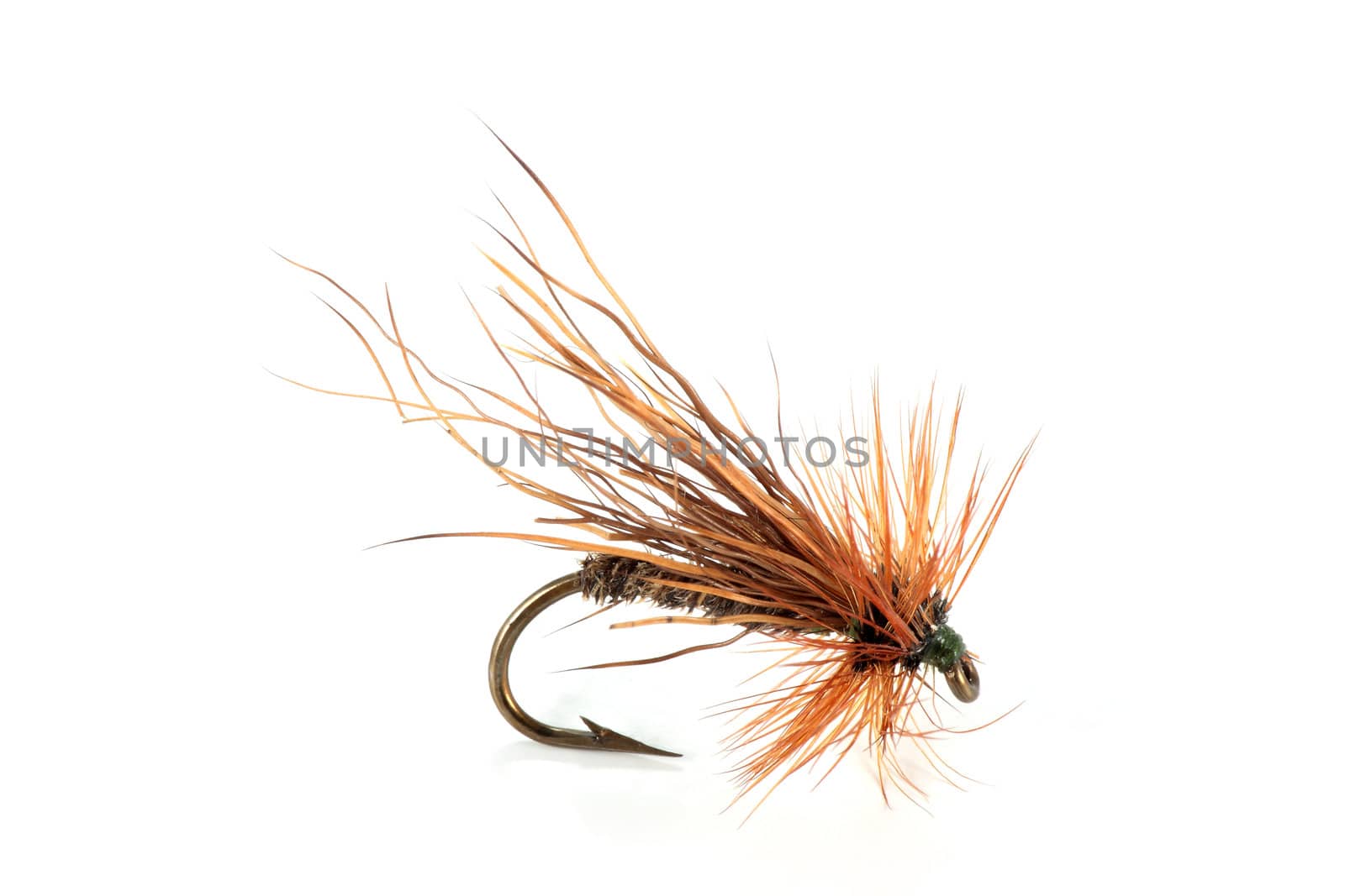 hair dry fly hook and pen for fishing on white background