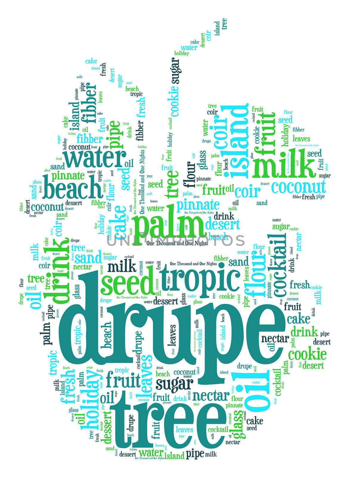 Coconut cocktail word cloud