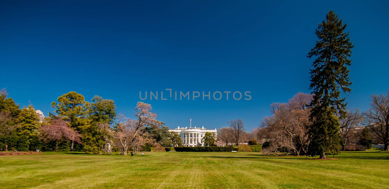 The White House in Washington DC with beautiful blue sky