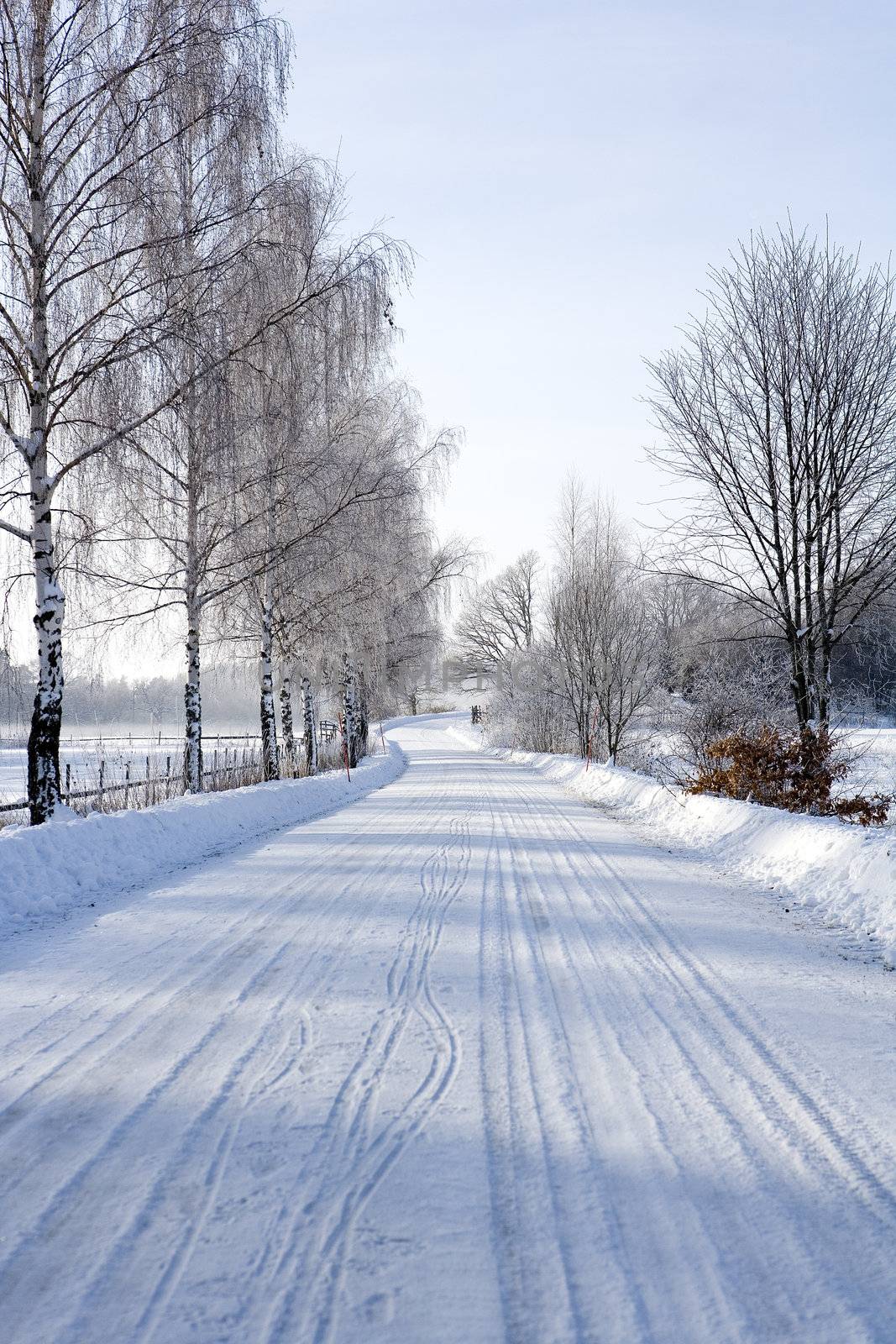 Winter Road on a sunny day