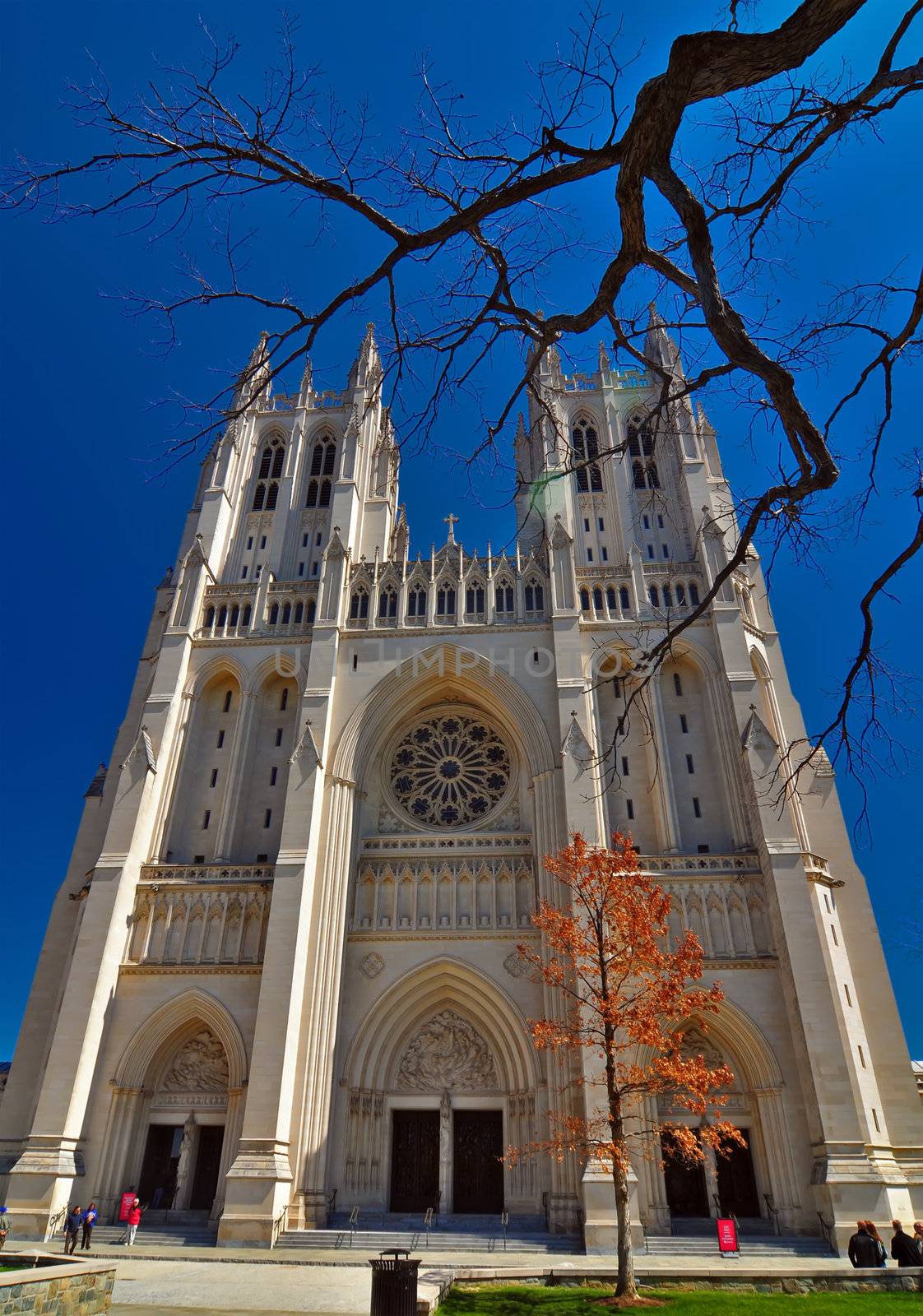 national cathedral washington dc - april 5, 2013