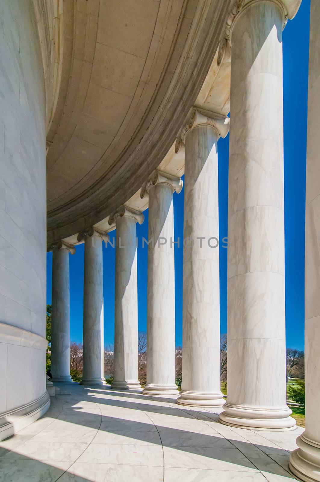 Thomas Jefferson Memorial, in Washington, DC, USA by digidreamgrafix