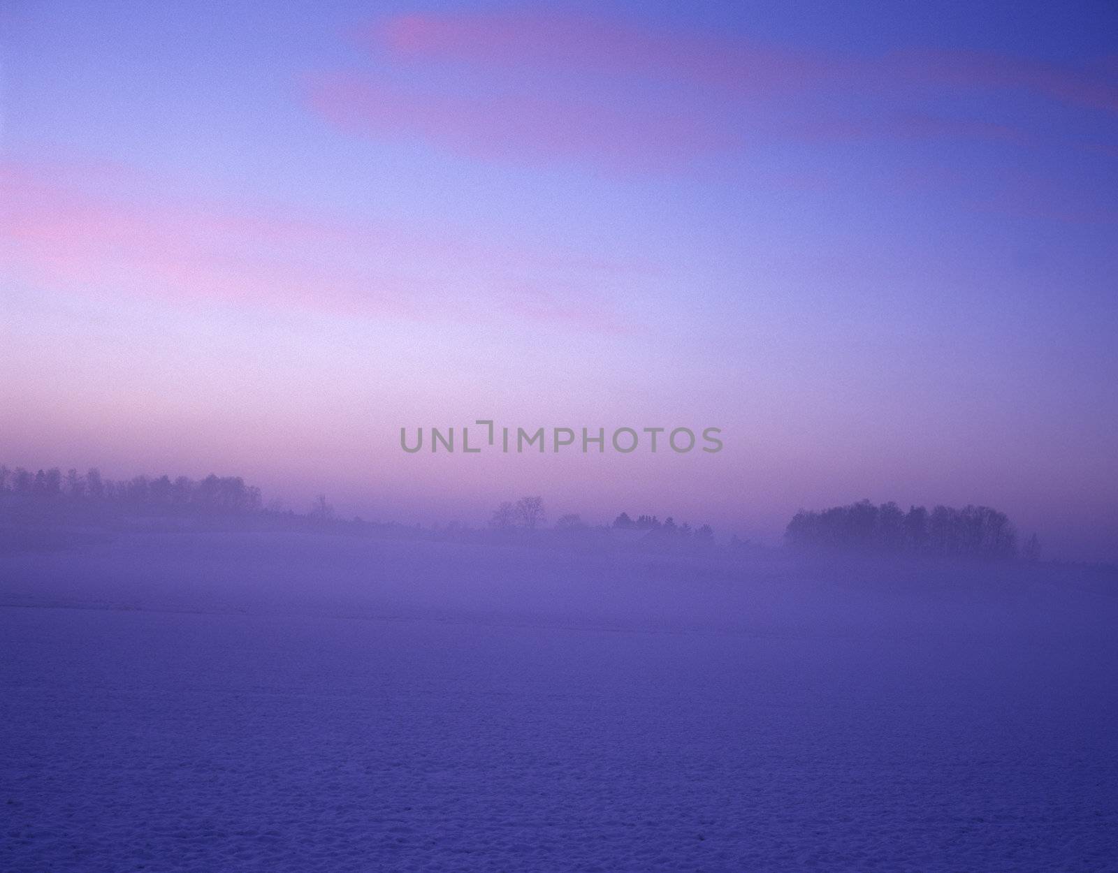 Winter landscape with purple sky