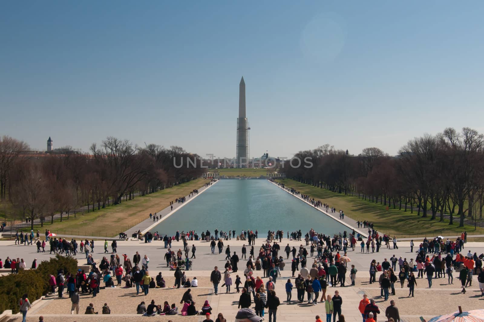 Washington Monument in spring, Washington DC United States