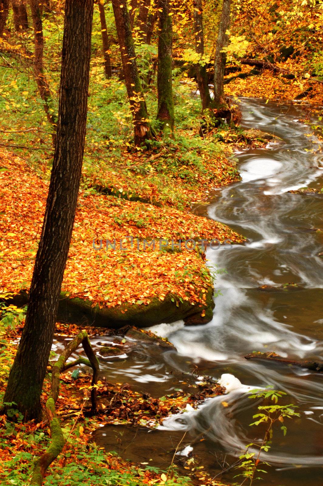 An image of blue river in autumn forest
