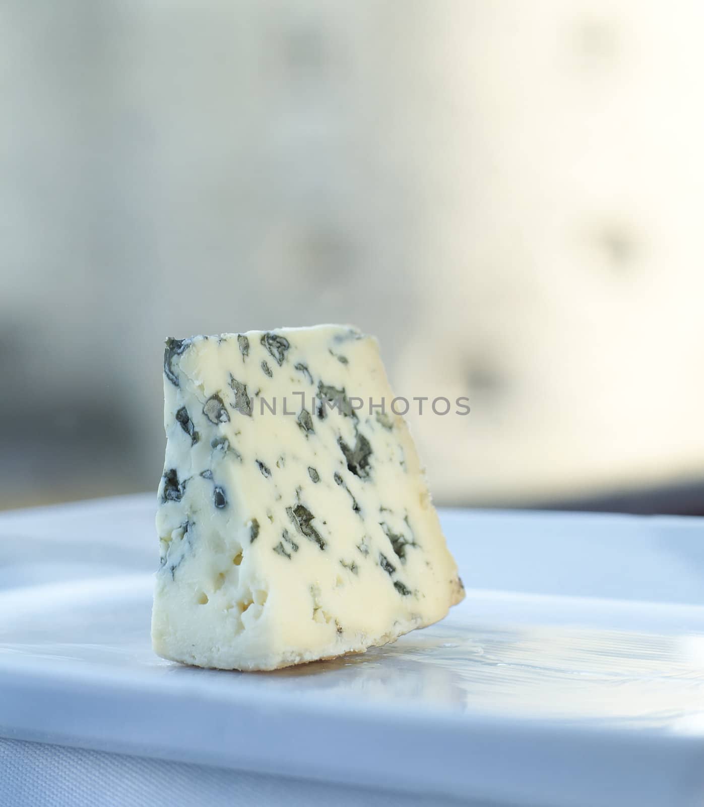 Still Life of Blue Cheese