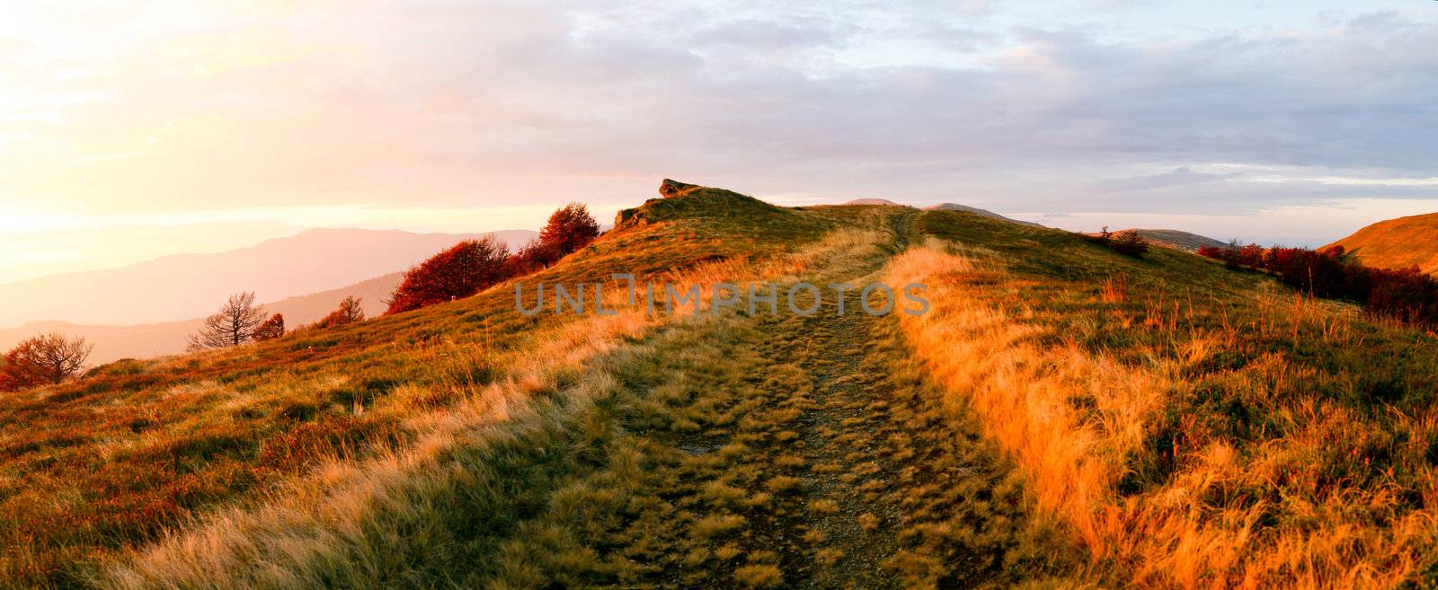 An image of a  road in the mountains