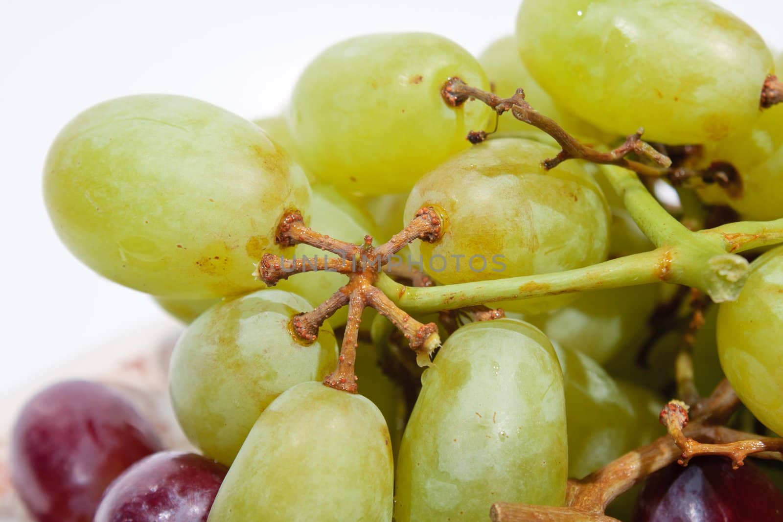 Grape, green and red grapes. Arranged on the plate insert. On a white background.