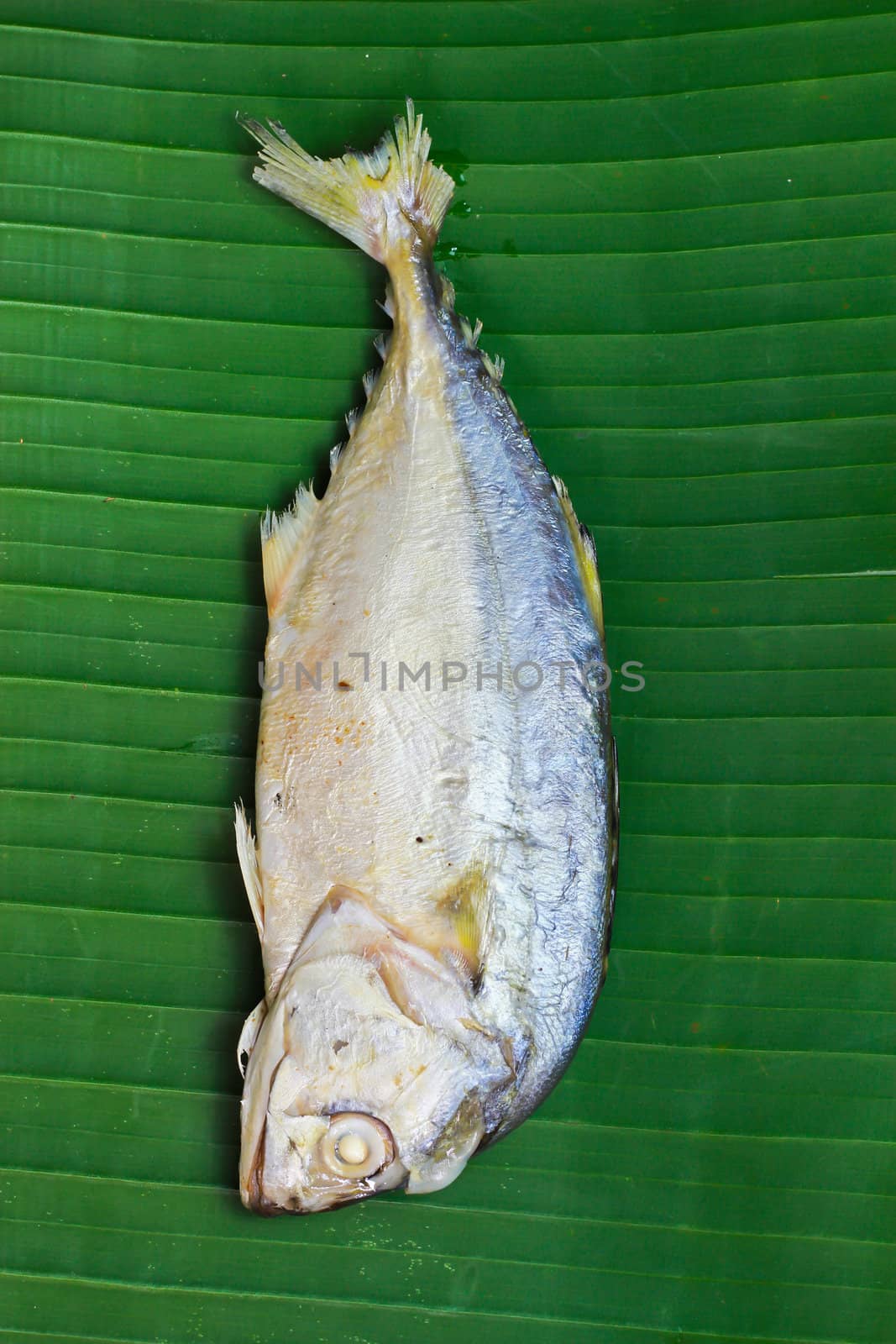 Chub mackerel on a banana leaf