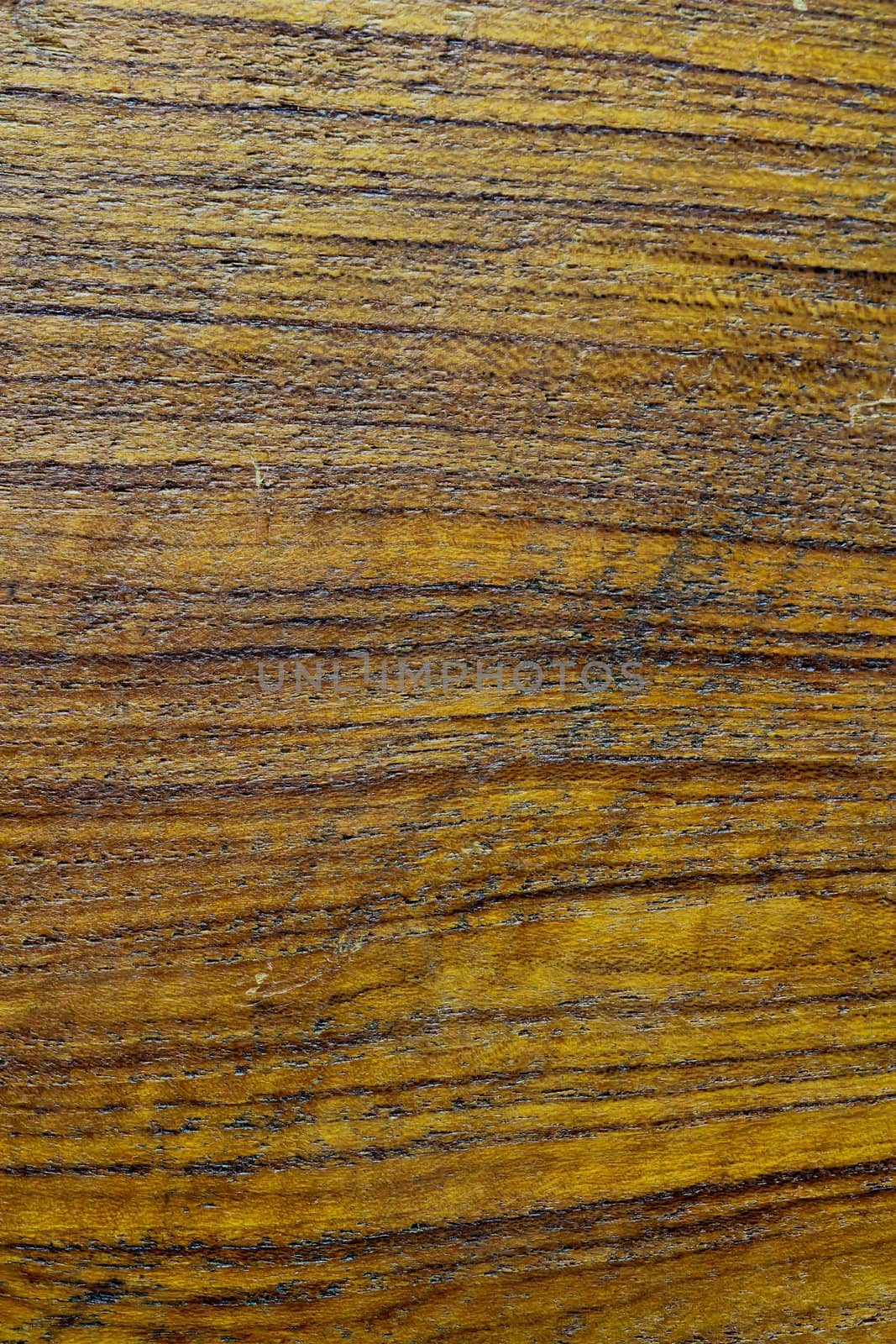 abstract wood texture with focus on the wood's grain. by bajita111122