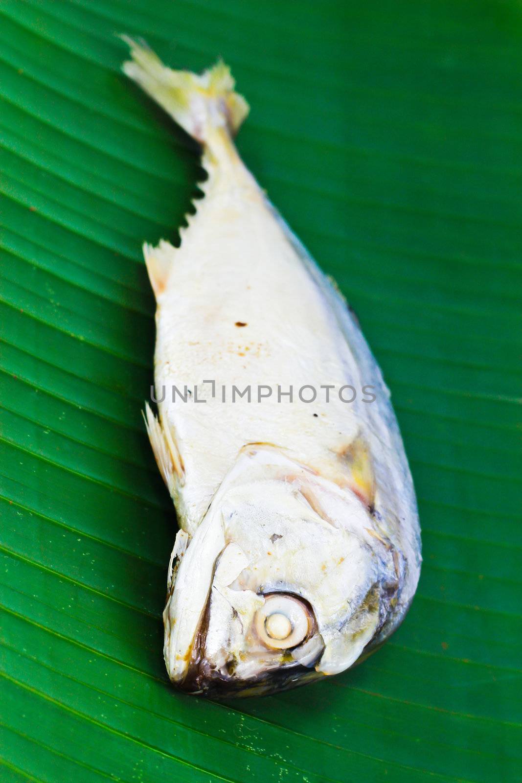 Chub mackerel on a banana leaf.