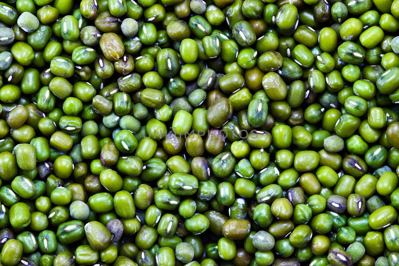 Green bean by bajita111122