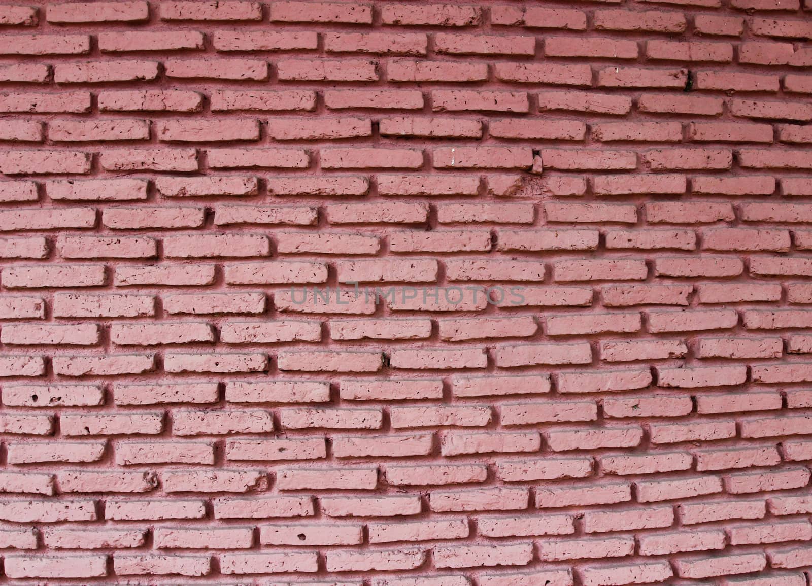 Red brick wall, square format
