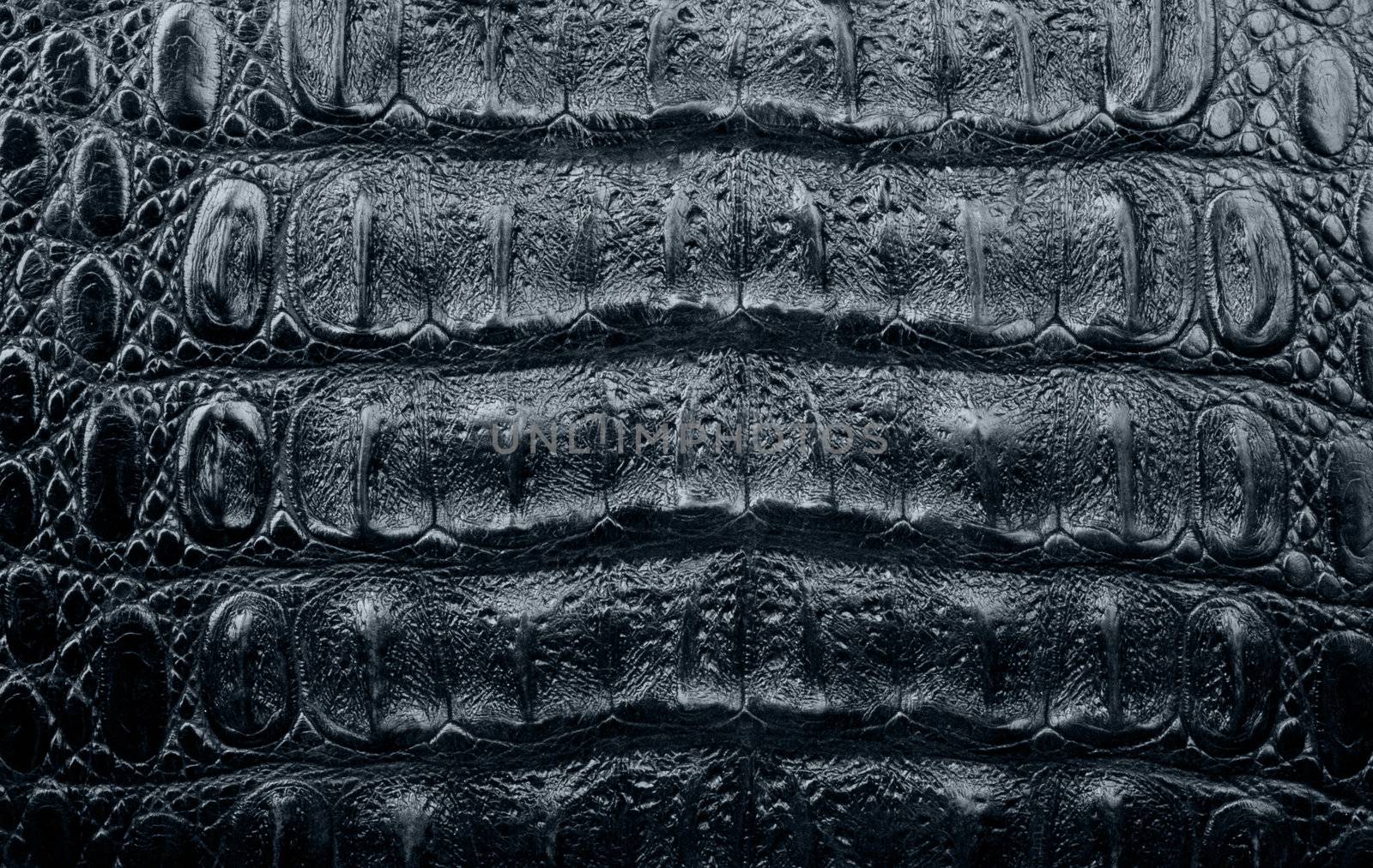 texture of a crocodile leather of black color as a background