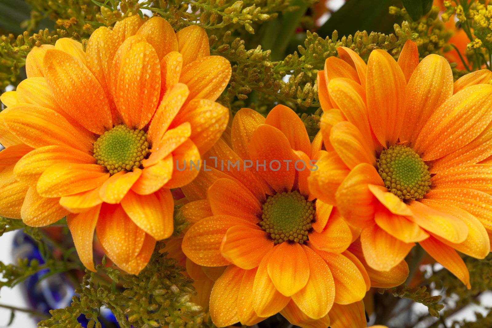 Bunch of orange chrysanthemum flowers, closeup