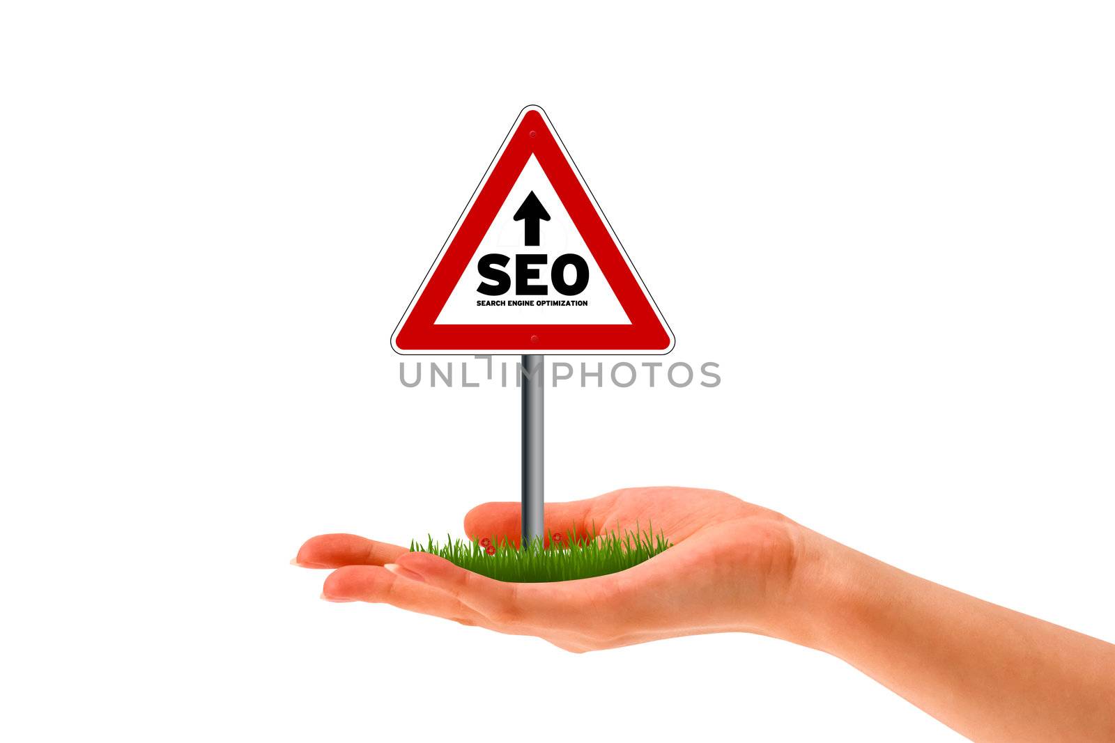 Hand holding a search engine optimization street sign. 