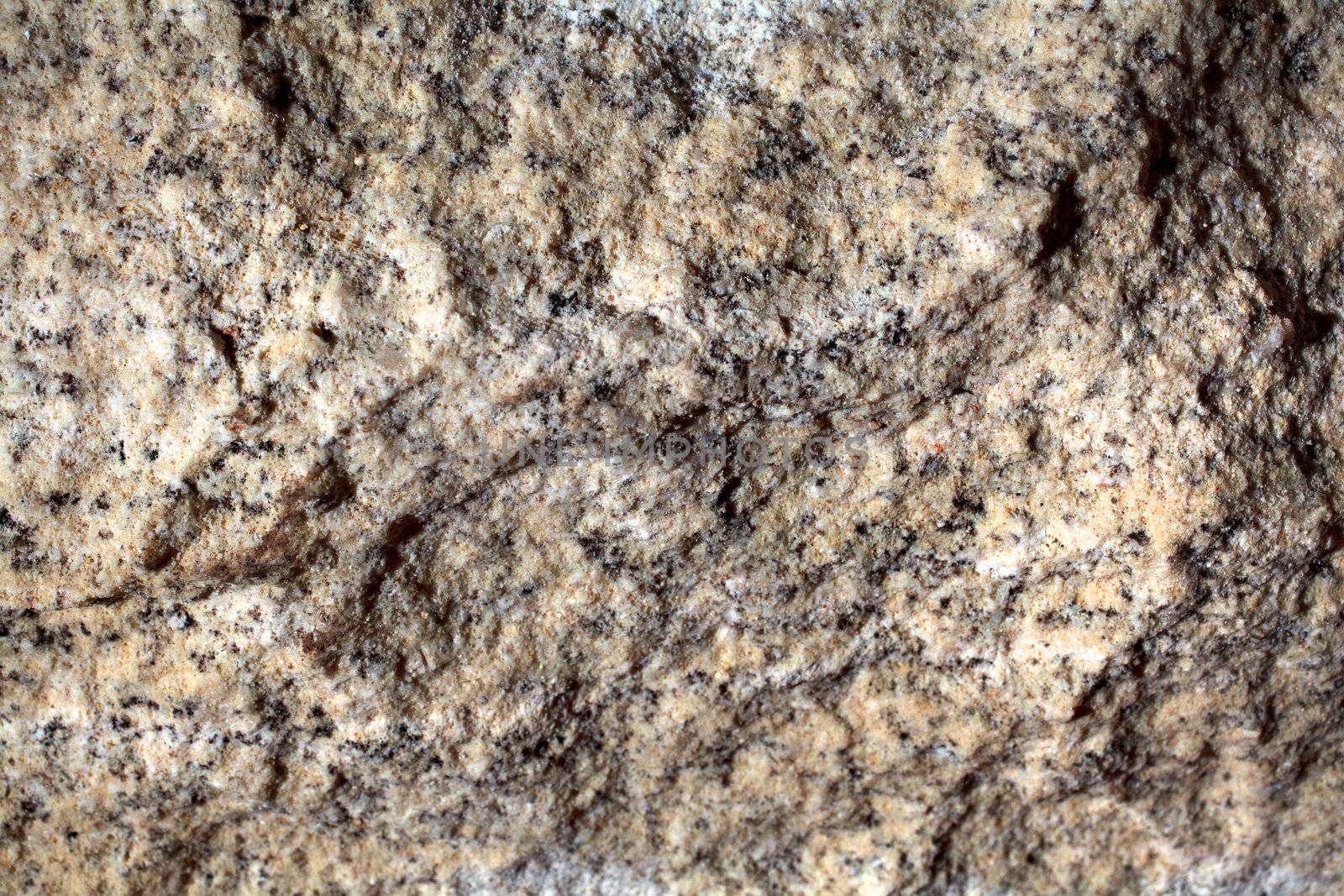 Surface of the multi-colored limestone. texture close-up