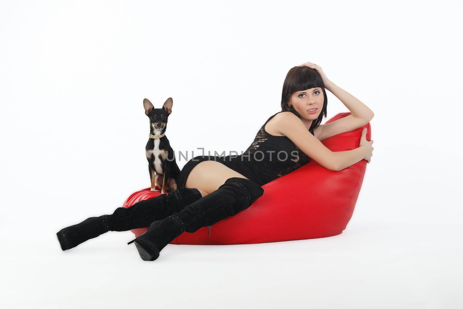The girl with the dog lying on a red armchair. Shooting in the studio on a white background