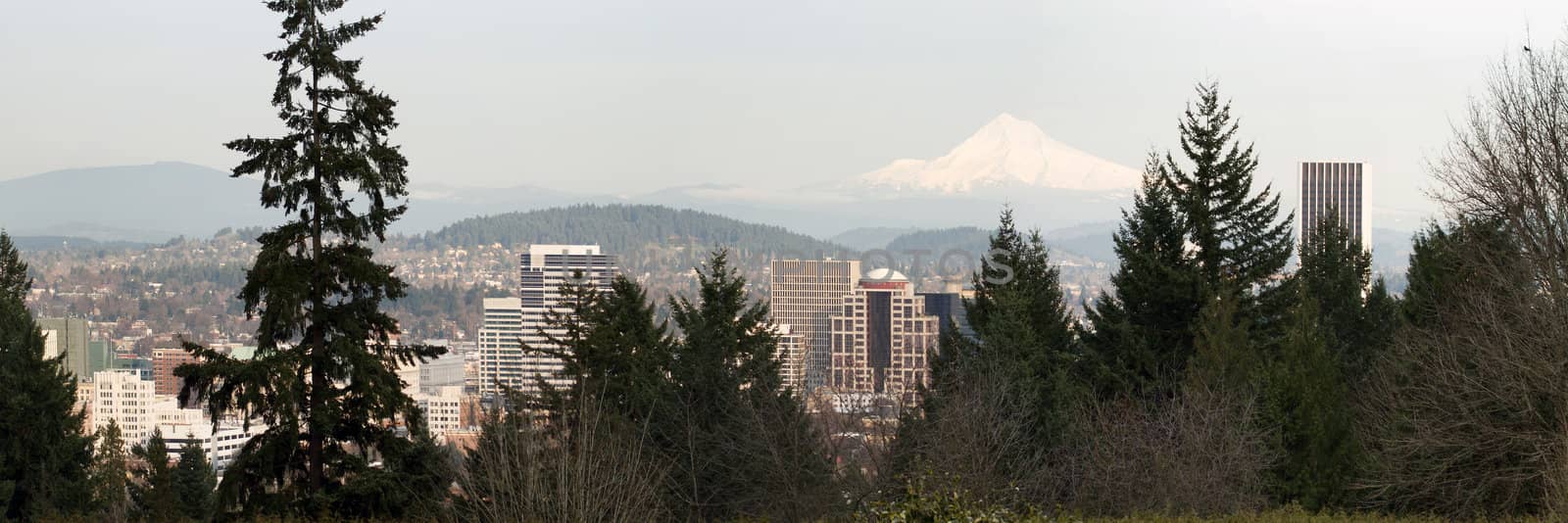 Portland Oregon Downtown Cityscape Amongst the Trees with Mount Hood Panorama