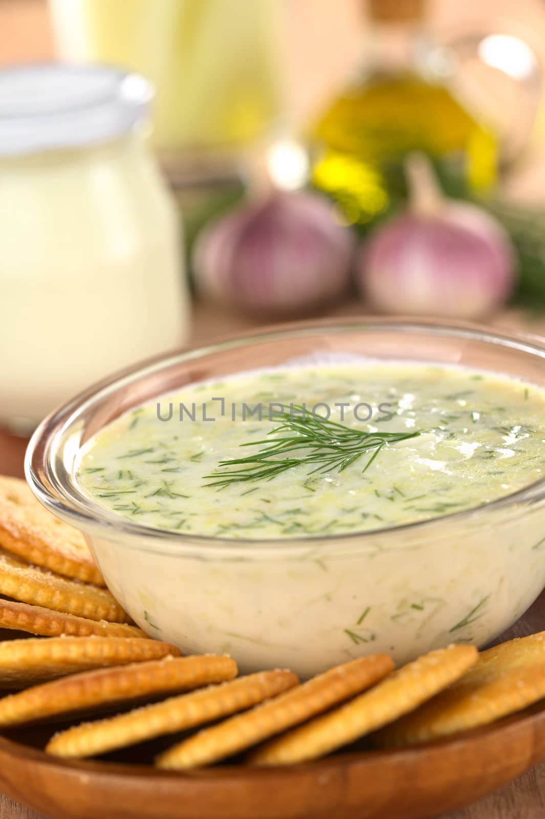 Tzatziki, a Greek and Turkish sauce, made of yoghurt, cucumber, garlic, olive oil and dill with salty crackers to dip (Selective Focus, Focus on the front of the dill on the tzatziki)   
