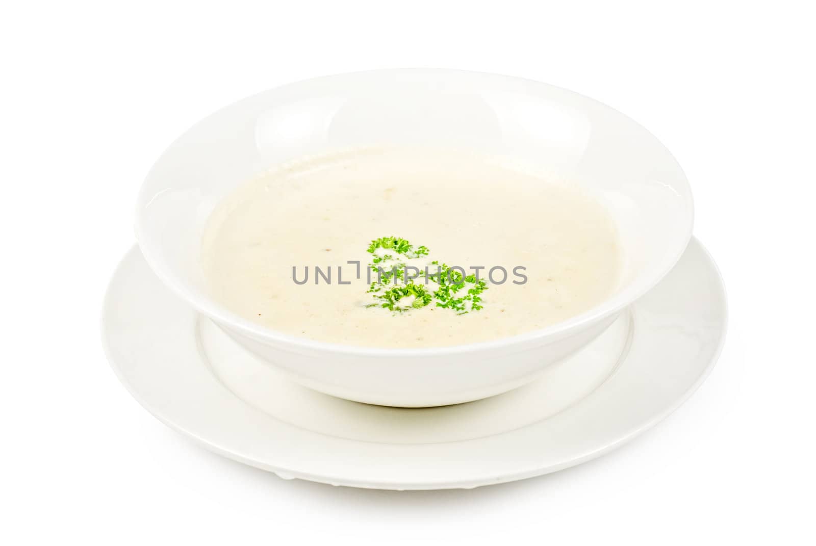 cream of mushroom isolated on a white background