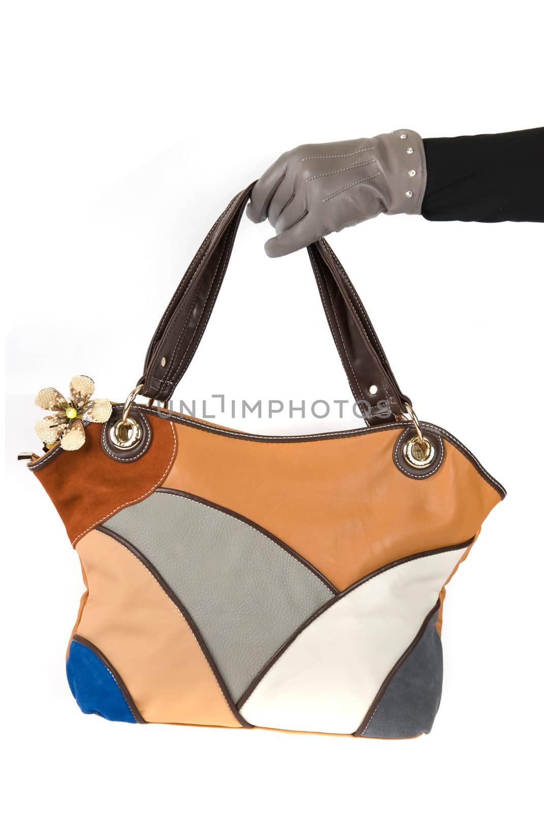 women bag at hand isolated on white background