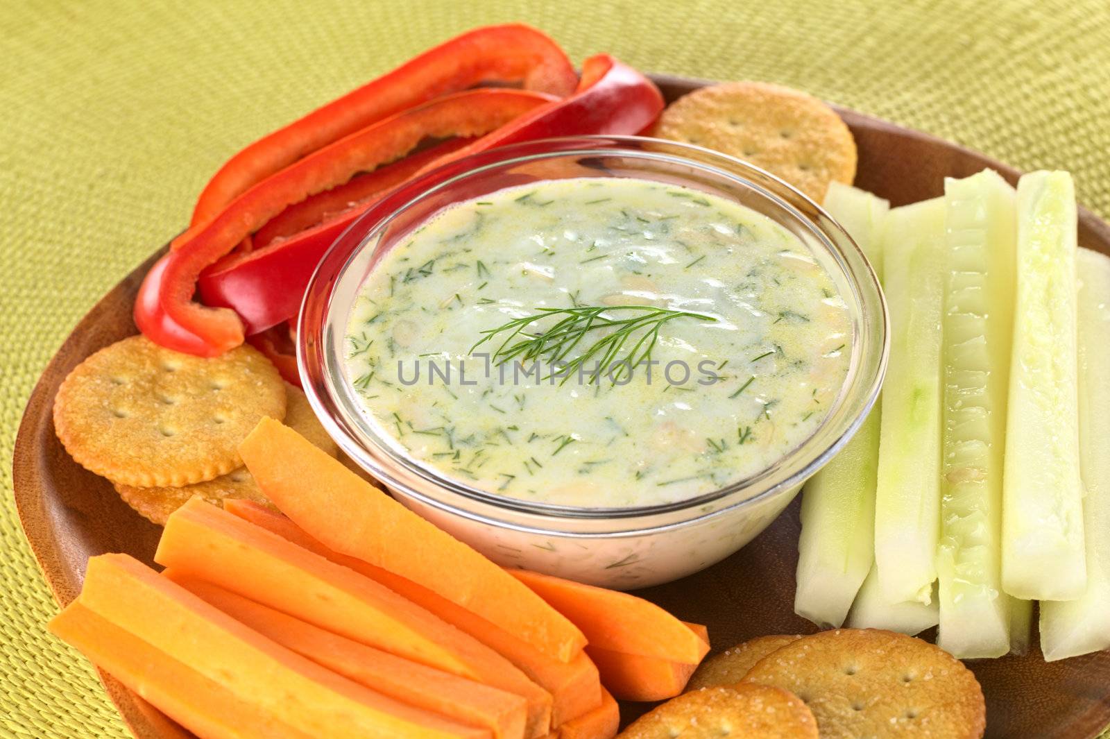 Fresh carrots, cucumbers and pepper and crackers with tzatziki dip (Selective Focus, Focus on the dill on the tzatziki)