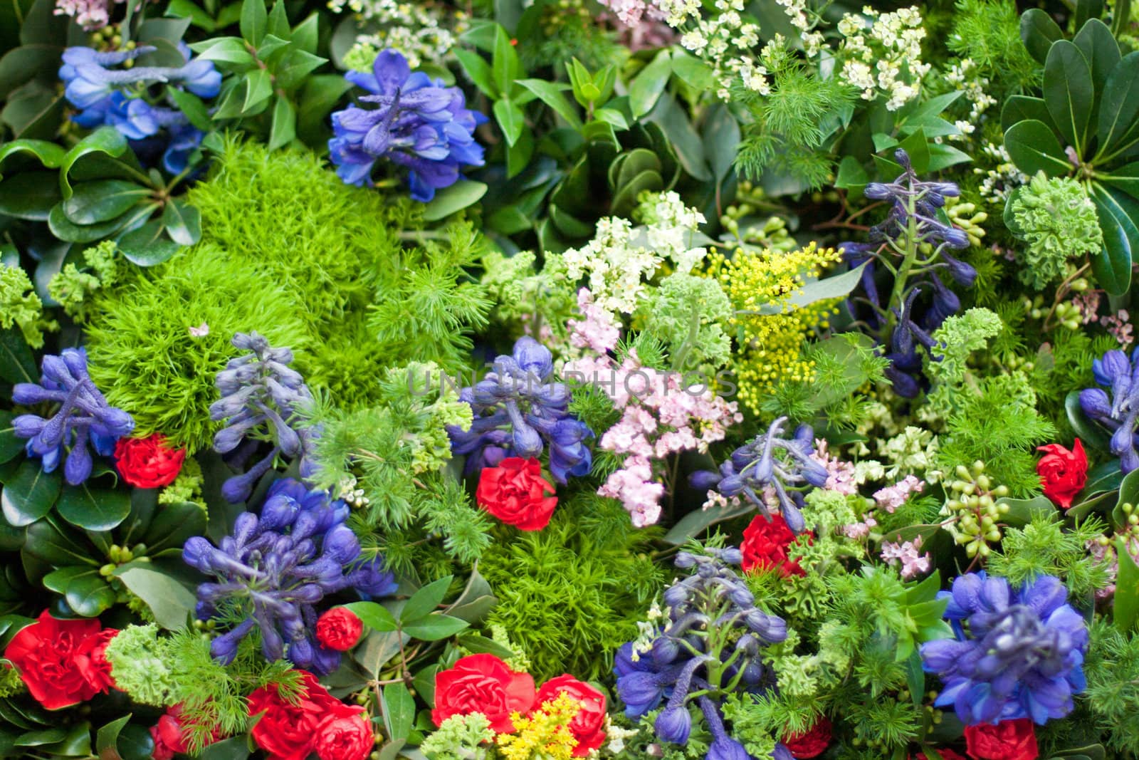 flower arrangement in beautiful yard in many cokors