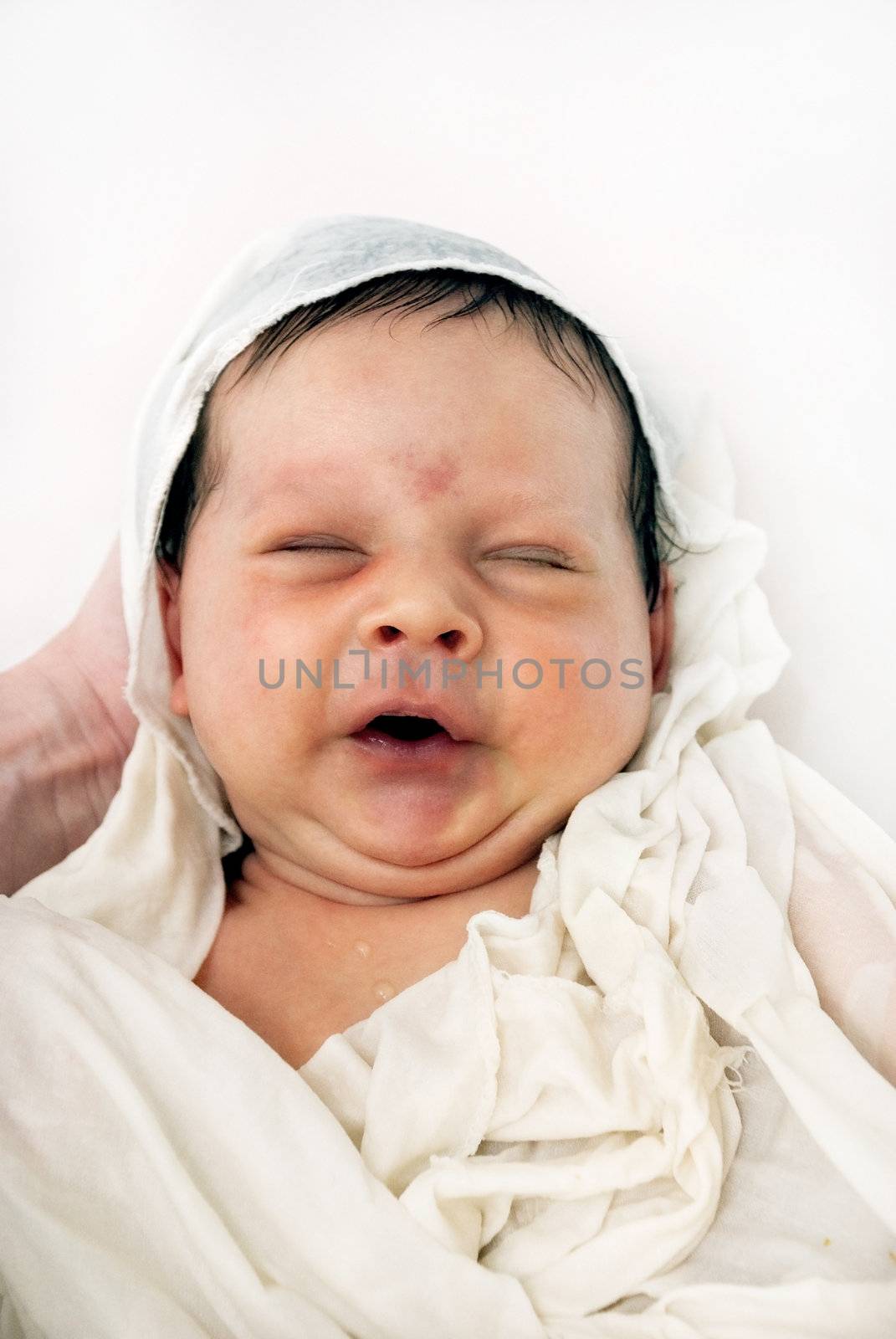 Portrait little newborn boy on the white background.