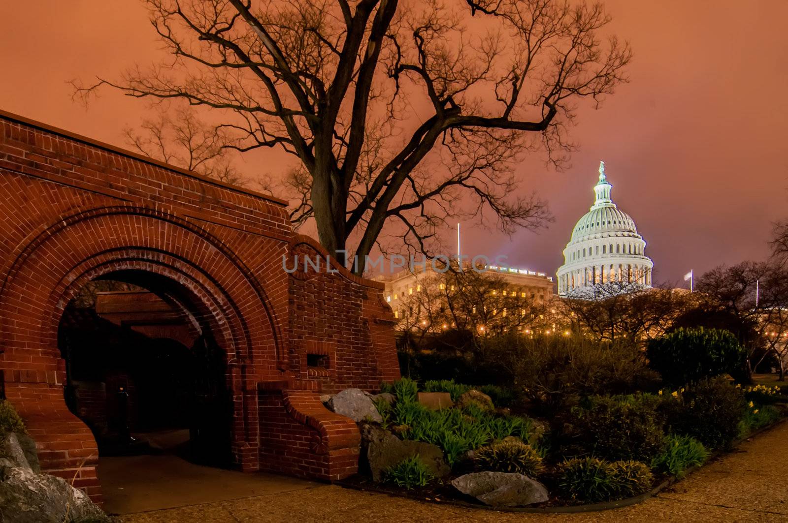 US Capitol Building in spring- Washington DC, United States