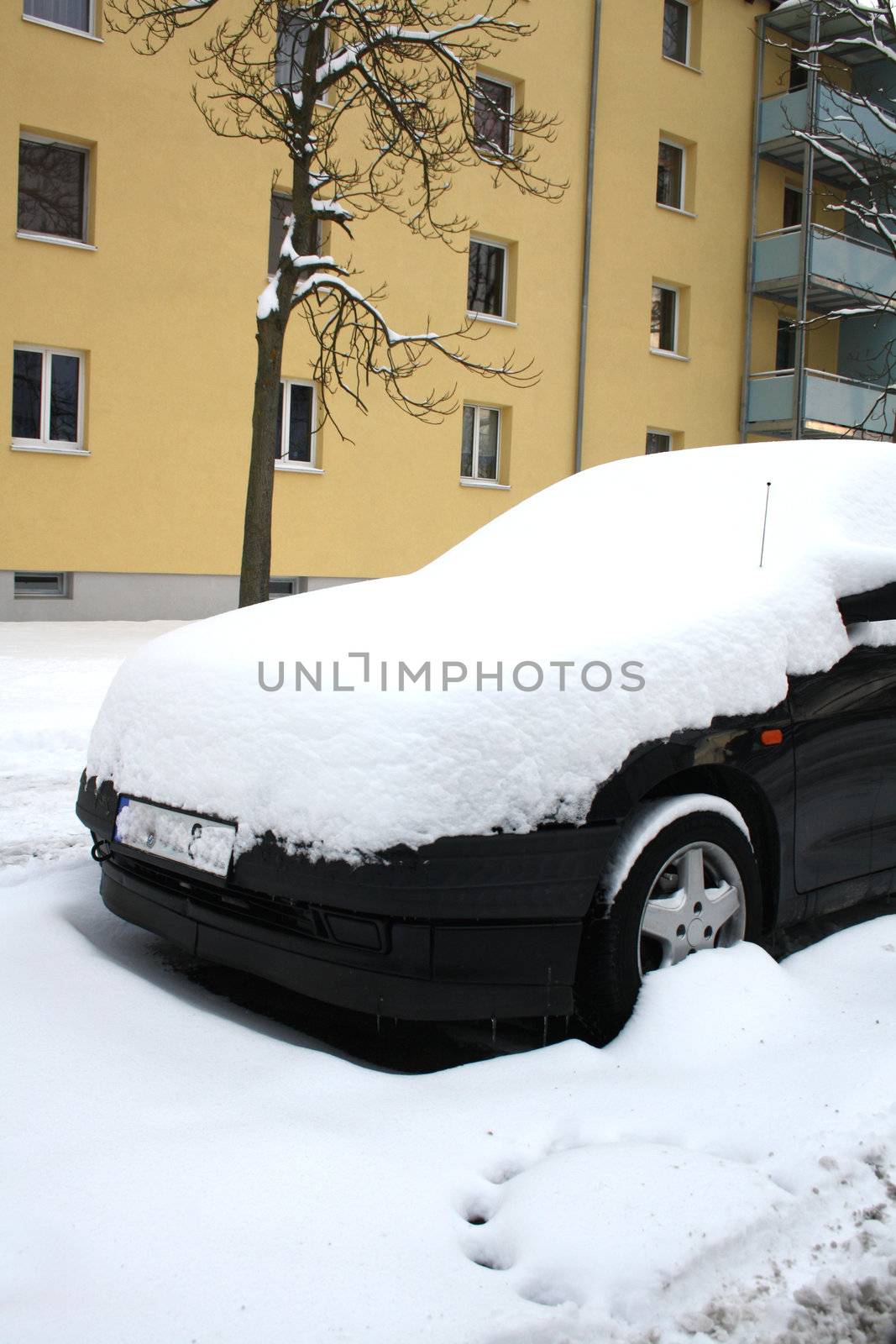 car in the winter on the road