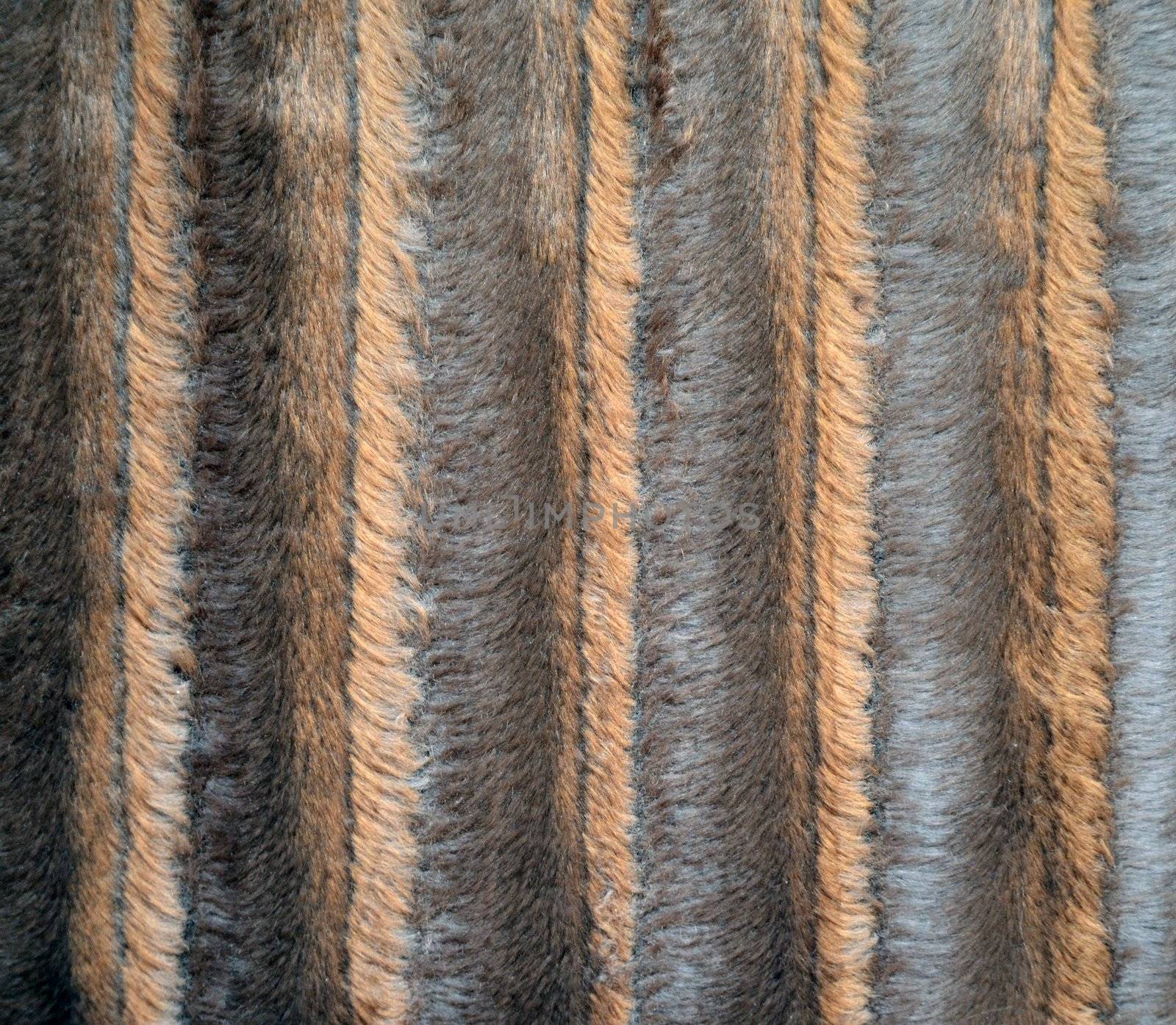 Close Up Picture on the Animal Fur, Suitable as a Background