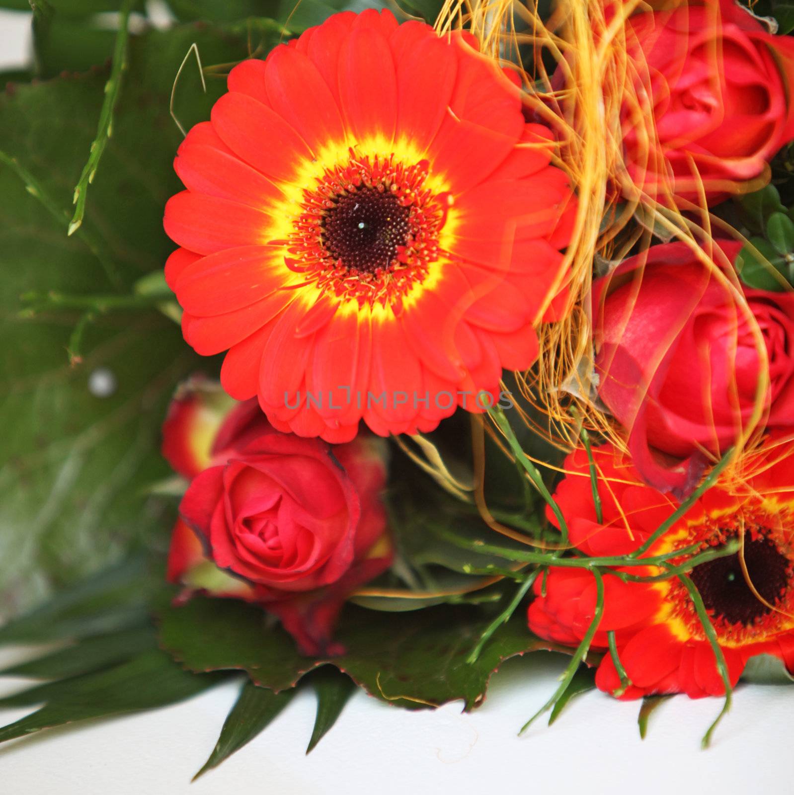 Closeup of a colourful vivid orangey-red bouquet of flowers with green foliage for a celebration or anniversary