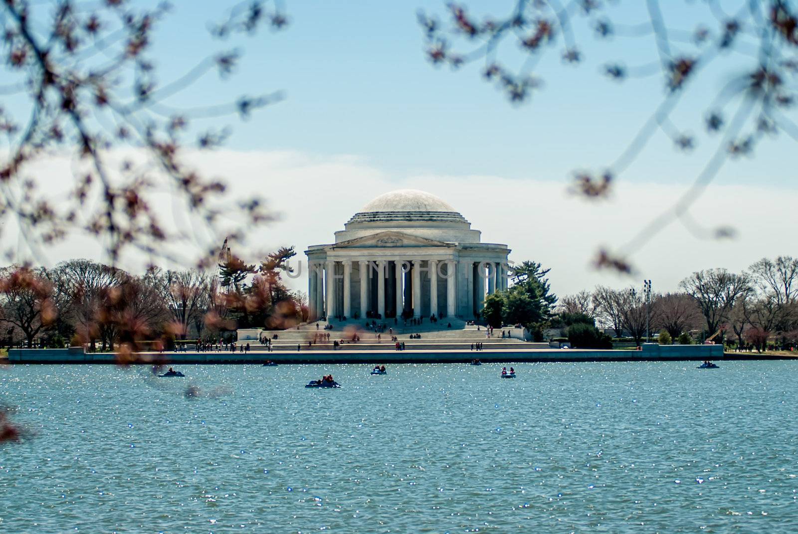 Thomas Jefferson Memorial, in Washington, DC, USA by digidreamgrafix