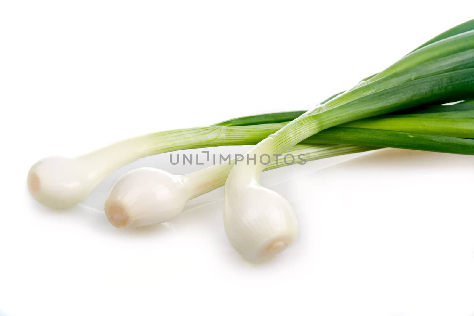 Bunch of green onion vegetables isolated by alphacell